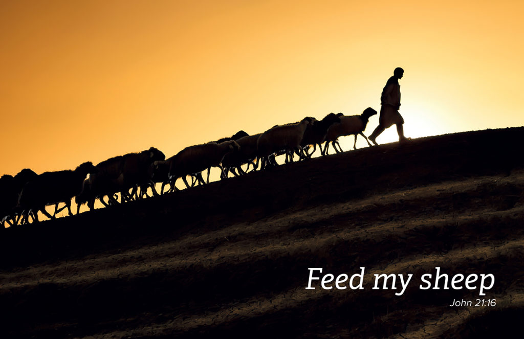 Feed My Sheep | nfcsn.org