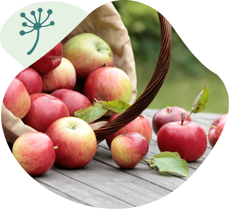 Basket of apples on a table